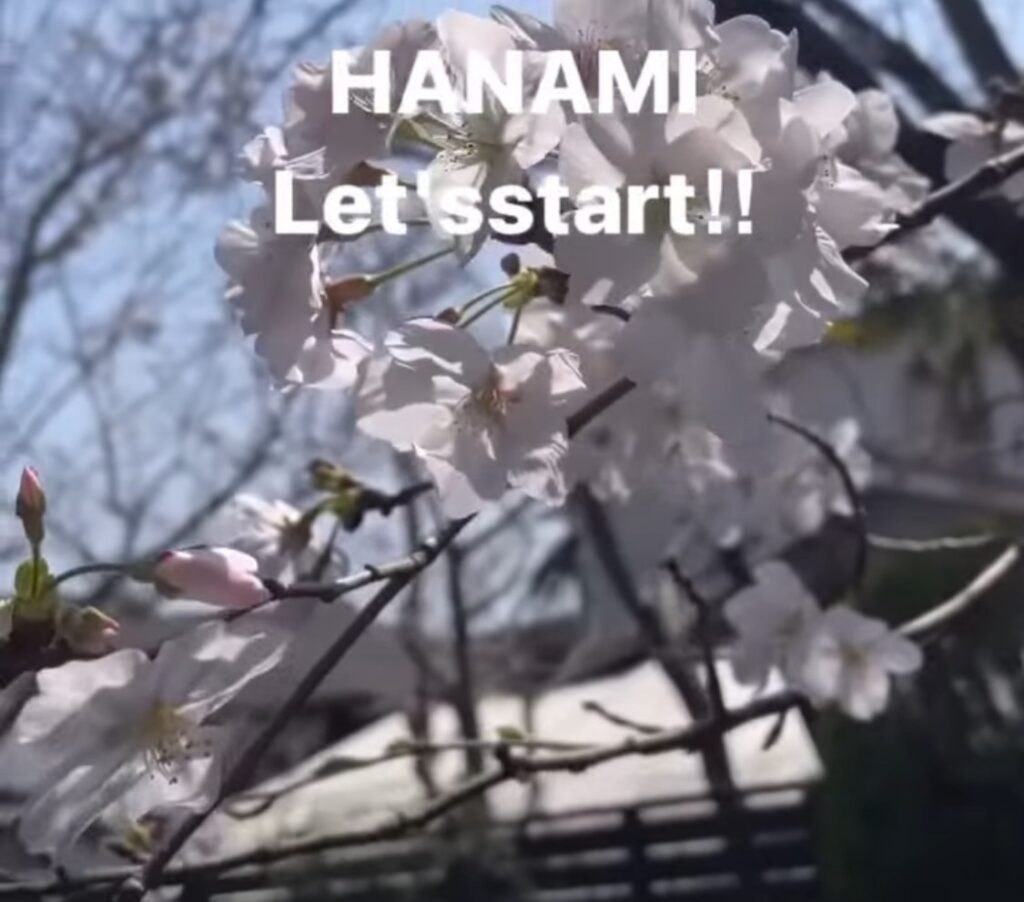 医院紹介｜お花見2