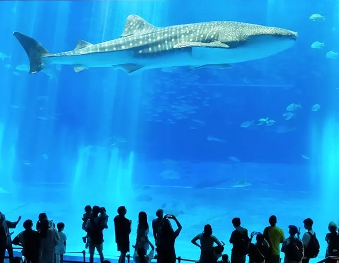 医院紹介｜慰安旅行2