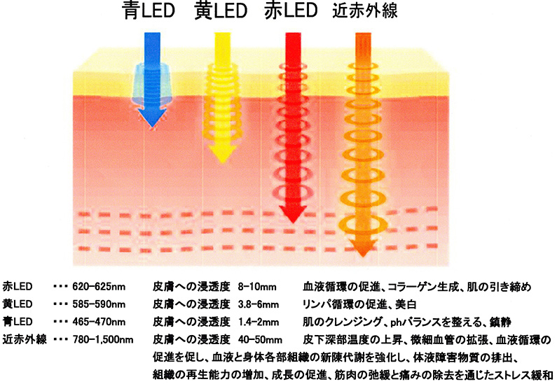エステ・サプリ｜LEDイメージ図